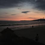 Barbara Neely - @compherb - Instagram