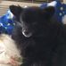 Barbara Neely - Facebook