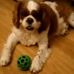 Barbara Negus - Facebook