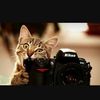 BarbaraMenegussiAlves - @babimenegussialvest - TikTok