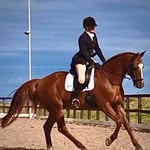 Barbara Neil - @linnfall_livery - Instagram