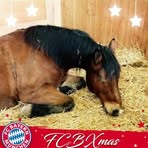 Barbara Nersinger - Facebook