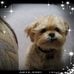 Barbara Netolicky - Facebook