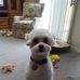Barbara Netolicky - Facebook