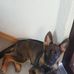 Barbara Neuberger - Facebook