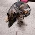 Barbara Neuberger - Facebook