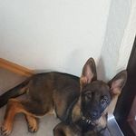 Barbara Neuberger - @neubergerbarbara - Instagram