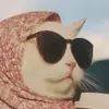 Bárbara Neuberger Campos - @user13306708803888 - TikTok