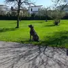 barbaraneuhofer - @barbaraneuhofer - TikTok
