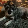 barbnordquist - @barbnordquist - TikTok