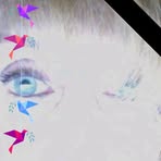 Barbara Norfleet - Facebook