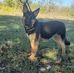 Barbara Norfleet - Facebook