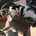 Barbara Norwitz - Facebook