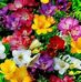 Basia Nosal - Facebook