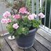 Barbara Nott - Facebook