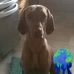 Barbara Nott-Bower - Facebook