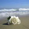 Barbara Nowacka - @barbara.nowacka19 - TikTok