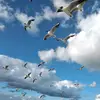 Barbara Nowacka - @bn.1957 - TikTok