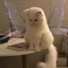 Barbara Nowak - @n_a_t_i_xxx - TikTok