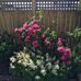 Barbara Nowe - Facebook