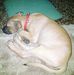 Barbara Nsiah - Facebook