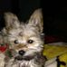 Barbara Nusbaum - Facebook
