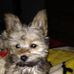 Barbara Nusbaum - Facebook