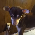 Barbara Nutter - Facebook
