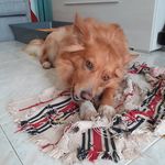 Barbara Nuzzi - @barbara.nuzzi.bn - Instagram
