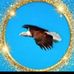 Barbara Oakley - Facebook