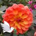 Barbara OBryan - Facebook