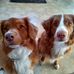 Barbara Acker - Facebook