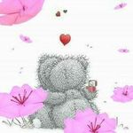Barbara O'Connor - @oconnor3471 - Instagram