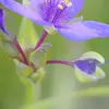 barbaraodeborahg - @barbaraodeborahg - TikTok