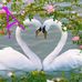 Barbara Ojeda - Facebook