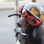 SoleSaleThai italiantouroperator - @barbara_olcese_ - Instagram