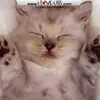 Barbara Oldak - @bbo924 - TikTok