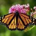 Barbara Heyd Olds - Facebook