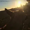 Barbara Olivas - @camila.651 - TikTok