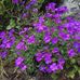 Barbara Oller - Facebook