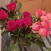 Barbara Olmo - Facebook