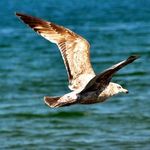 Barbara O’Neil - @bythesea733 - Instagram