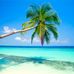 Barbara Onesti - Facebook