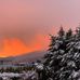 Barbara Onesti - Facebook