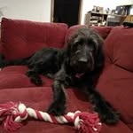 Barbara Opfer - @barbaraopfer - Instagram