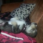 Barbara Opitz - Facebook