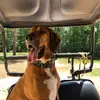 Barbara Opper - @barbara.opper - TikTok