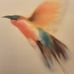 Barbara Oppermann - Facebook