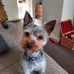 Barbara Orchard - Facebook