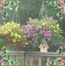 Barb Ormiston - Facebook